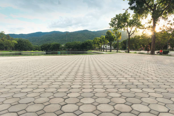 Best Residential Driveway Paver Services  in Morgantown, KY