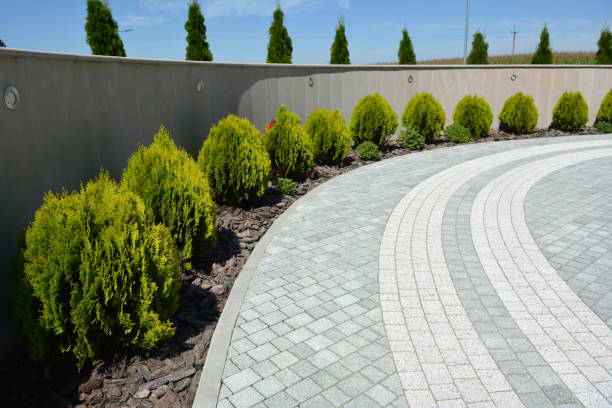 Best Driveway Paver Sealing  in Morgantown, KY